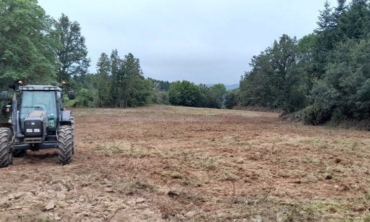Passage du cover-crop dans une parcelle de bois